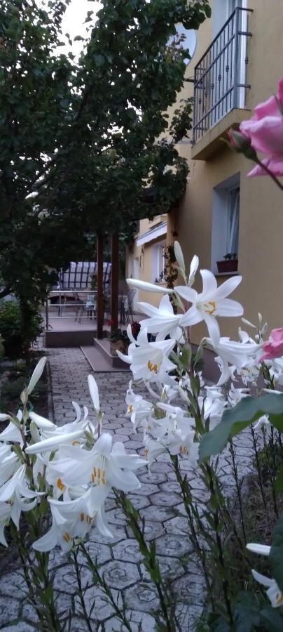 Apartment 马图利 外观 照片